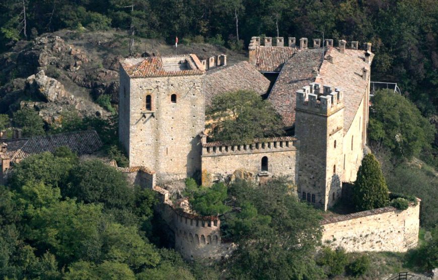 Visita guidata al castello di gropparello e pranzo alla…