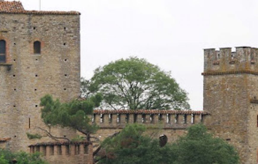 Visita guidata al castello di gropparello e pranzo alla…