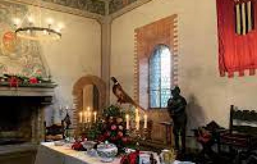 Visita guidata al castello di gropparello e pranzo alla…